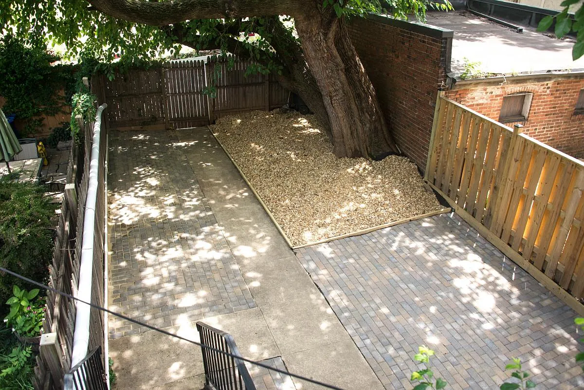 Backyard - 1309 1st St NW #1