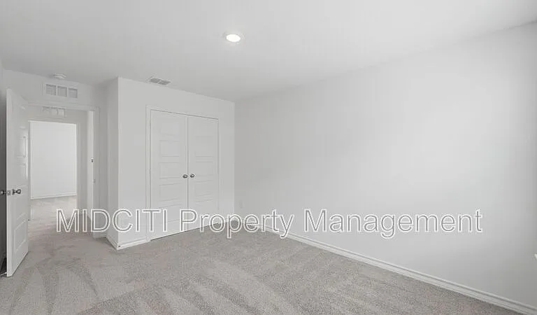 966 Bluegrass Point #NEW BRAUNFELS — Photo 31