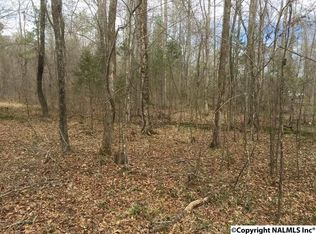 330 Dividing Ridge Rd, Blountsville, AL 35031