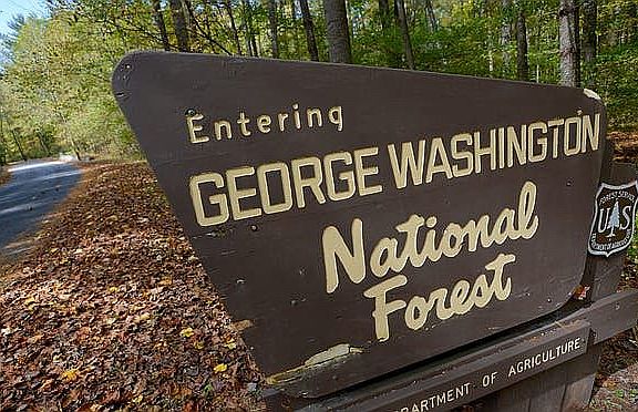 2 Minutes to GW Natl Forest