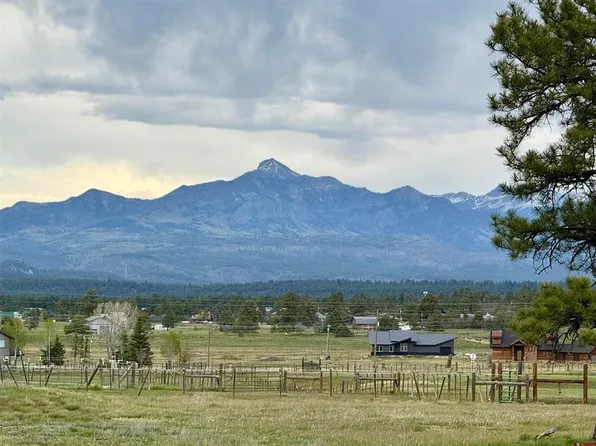 49 Marmot Court, Pagosa Springs, CO 81147