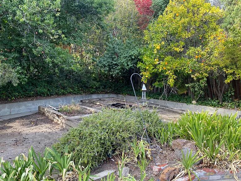 Raised vegetable beds and fruit trees in fenced, private backyard
