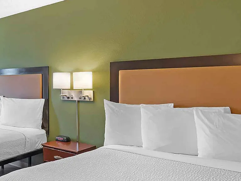 Studio Suite - 2 Full Beds