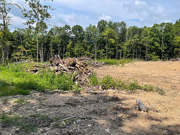 2nd image of 58 Hiddenwood Dr