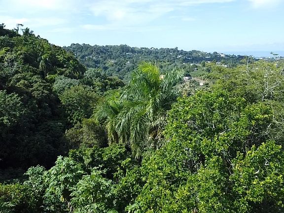 5th image of State Highway 2 Km #140