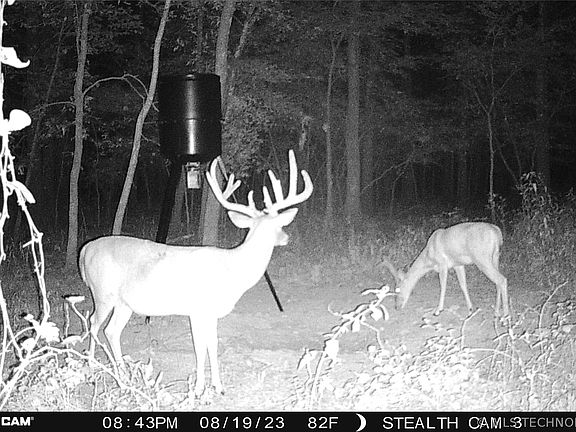 3rd image of Cooper Bnd