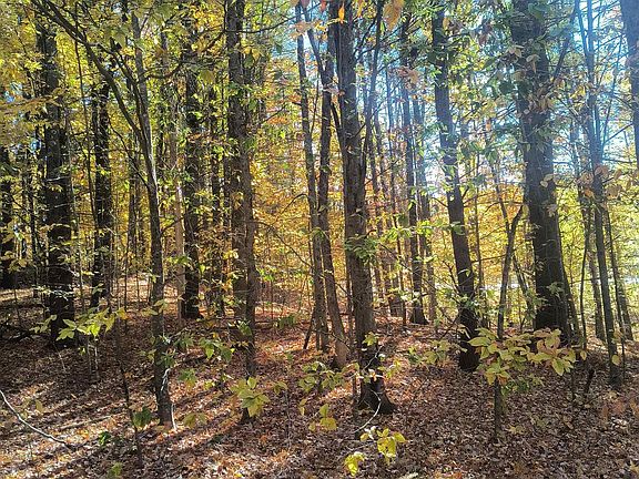4th image of Map 8 Lot 77 Province Road