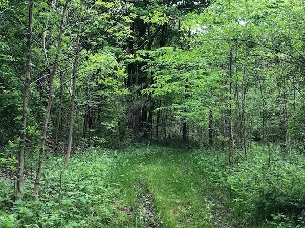 1555 123rd Ave, Hopkins, MI 49328