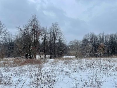 PARCEL Westbourne Ct #A, Chelsea, MI, 48118