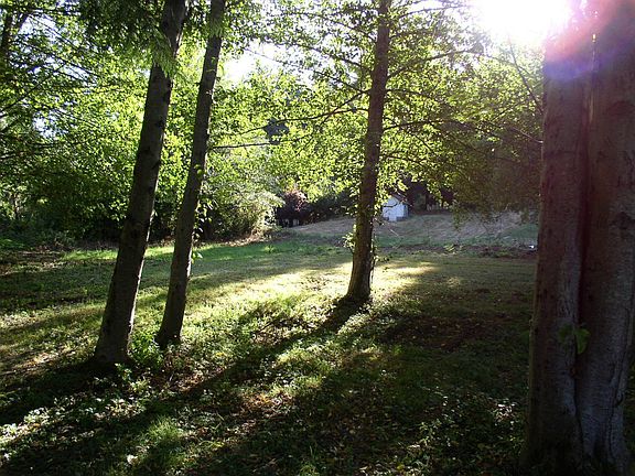 Backyard facing West