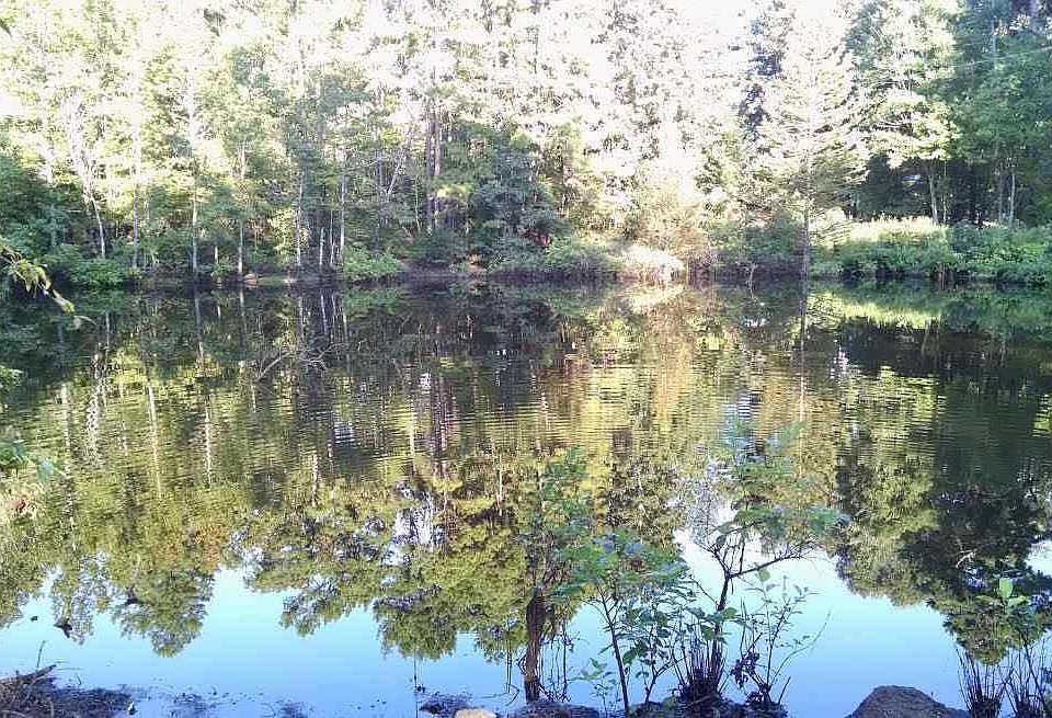 1st image of 967 County Road 3549