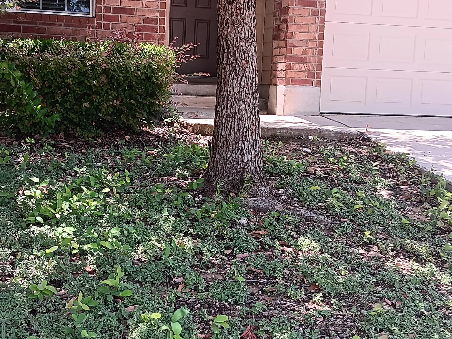 8817 Palmetto Falls — Photo 1