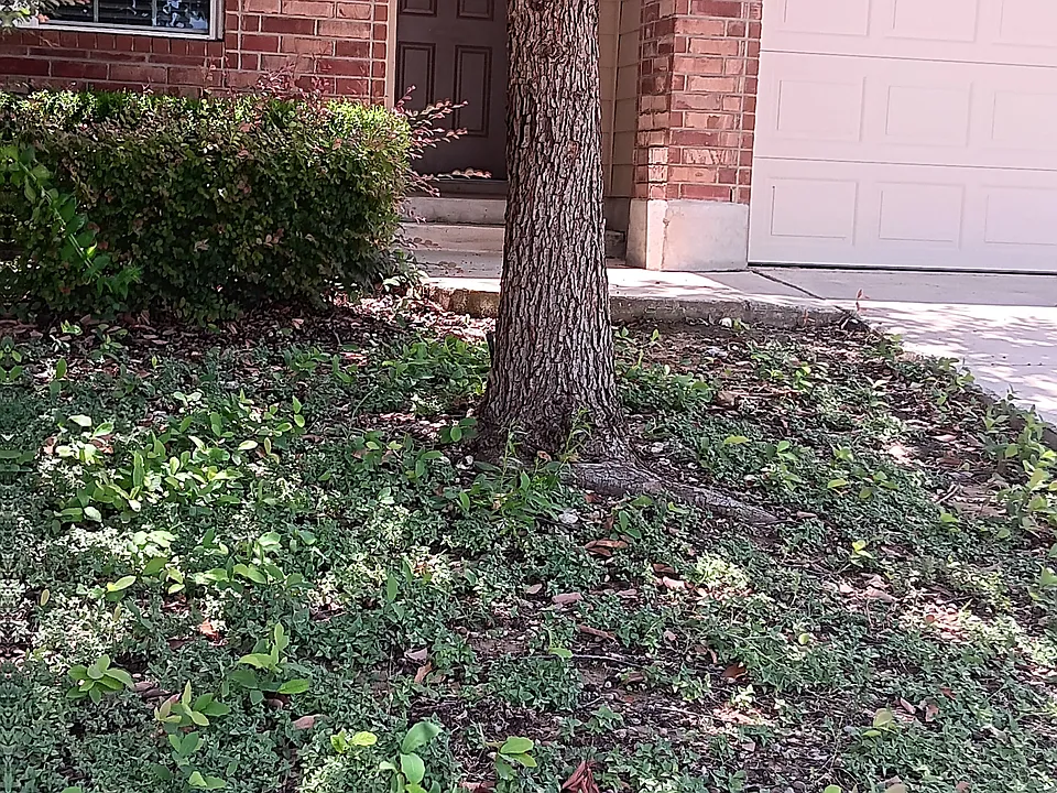 8817 Palmetto Fls
