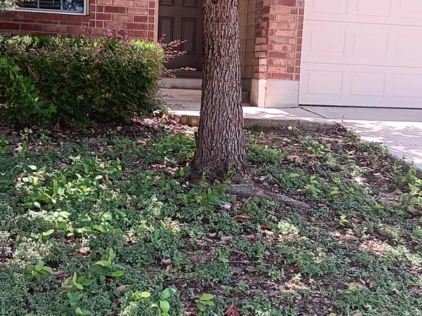 8817 Palmetto Fls, San Antonio, TX 78254