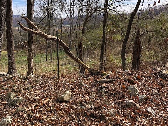 5th image of 567 Centerville Rd