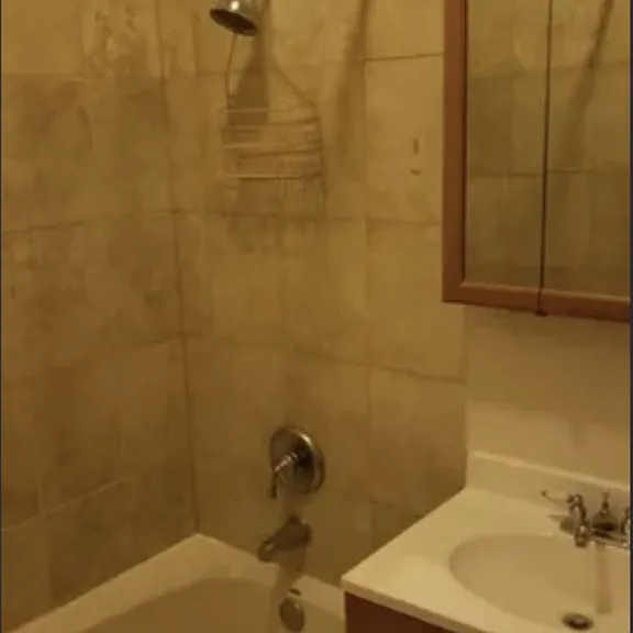 6542 S Cottage Grove Ave #1 — Photo 15