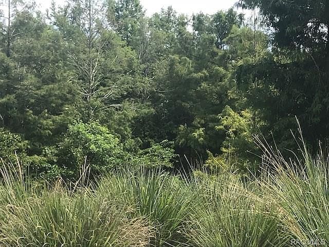 1st image of 2400 W Angler Ln