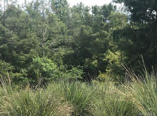 2400 W Angler Ln, Citrus Springs, FL 34434