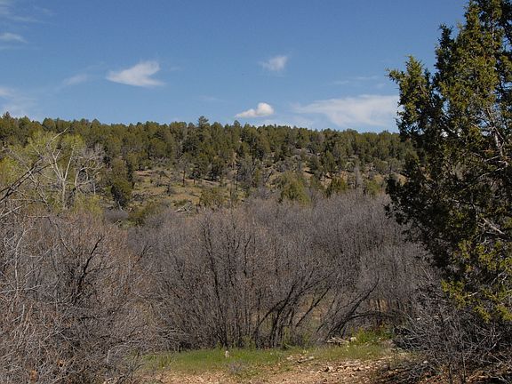 5th image of Tbd Cr 36