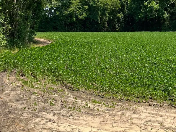 2197 W Nc Highway 222 W, Fremont, NC 27830