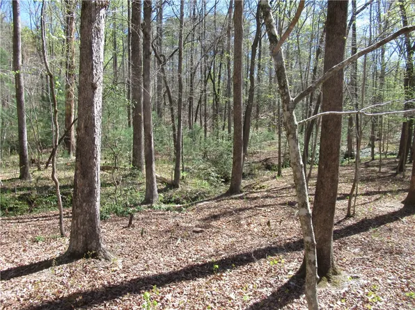 159 Shepherd Springs Dr, Cleveland, SC 29635