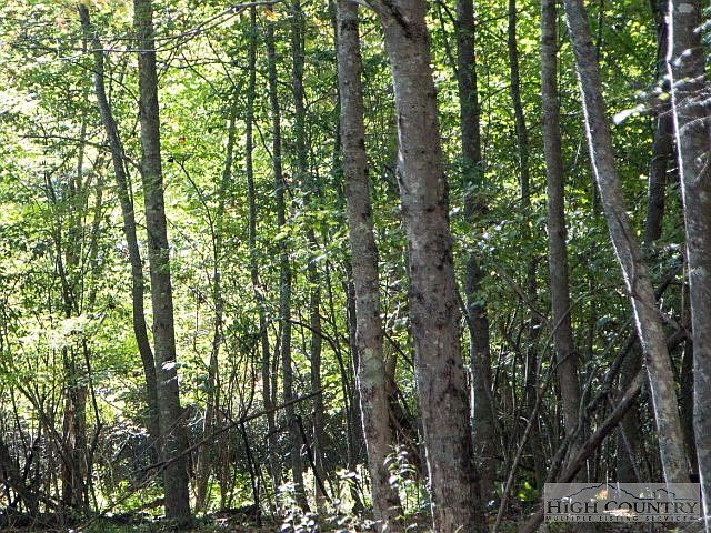 1st image of Tbd Panther Den