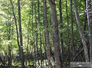 Tbd Panther Den, Jefferson, NC 28640