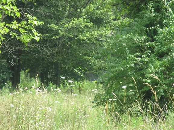 2nd image of 1375 Township Road 222