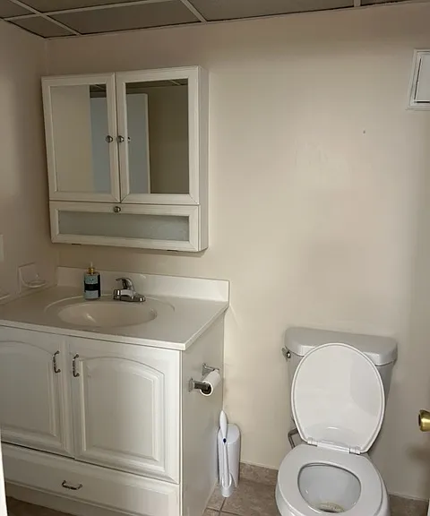 large bathroom with medicine cabinet and vanity both with storage