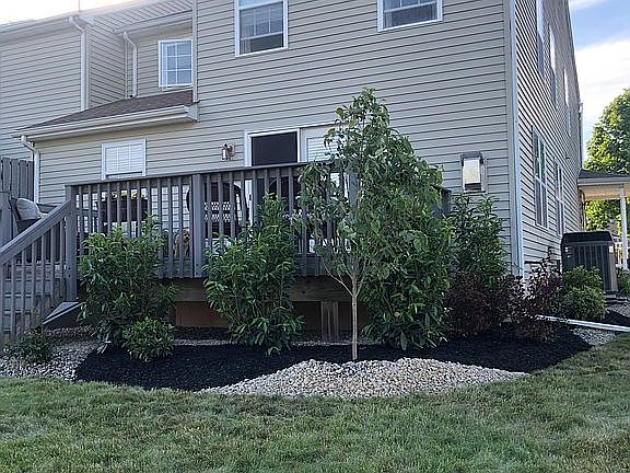 Back deck