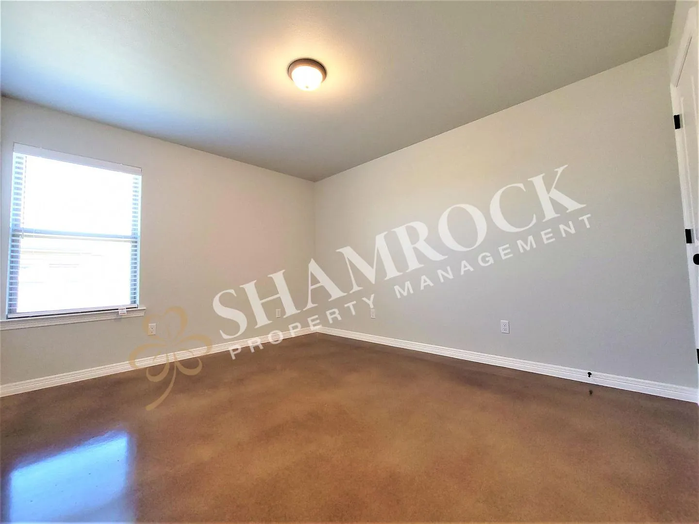 3/2 Duplex in Troy ISD! — Photo 4