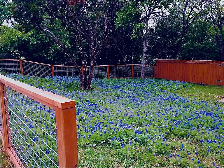 414 W Dittmar Rd #B — Photo 1