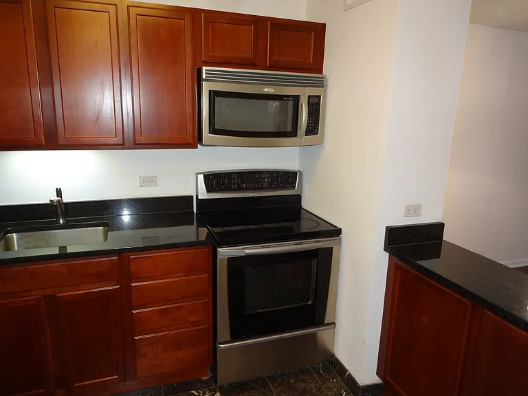 222 E Pearson St #2105 — Photo 7