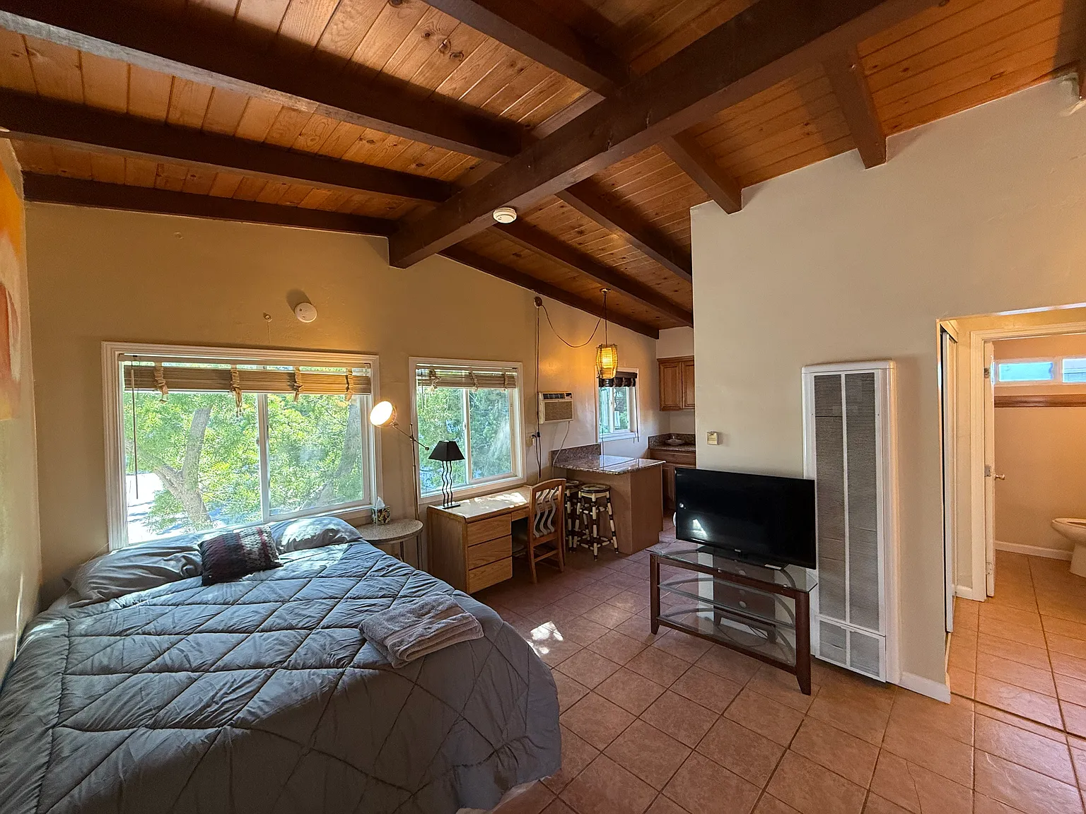 Studio, 460 sqft, $2,395 — Photo 2