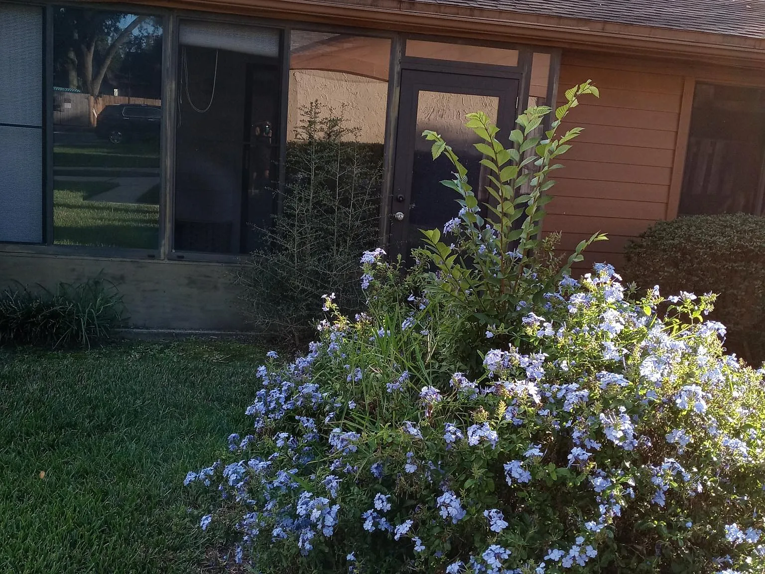 85 Debarry Ave — Photo 2