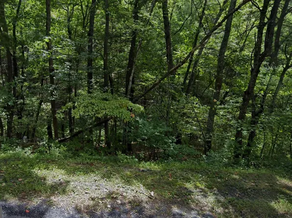 Deloris Rd, Basye, VA 22810
