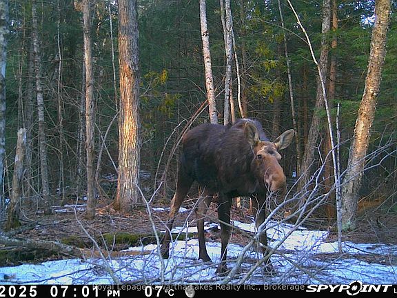 4th image of 0 Crystal Lake Rd