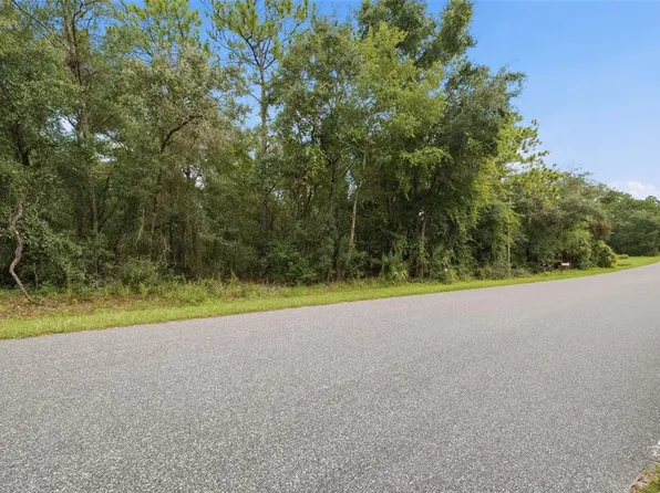 1295 E RAY STREET LOT 132, HERNANDO, FL 34442
