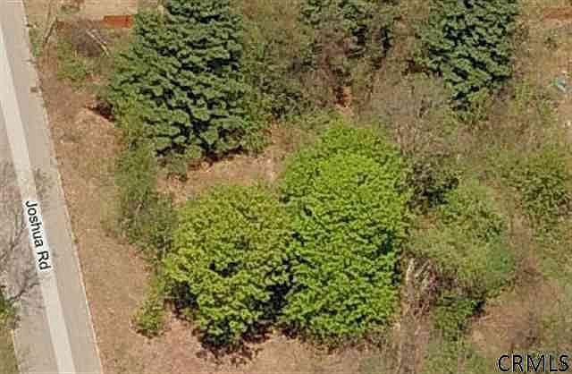 2nd image of 0 JOSHUA Road