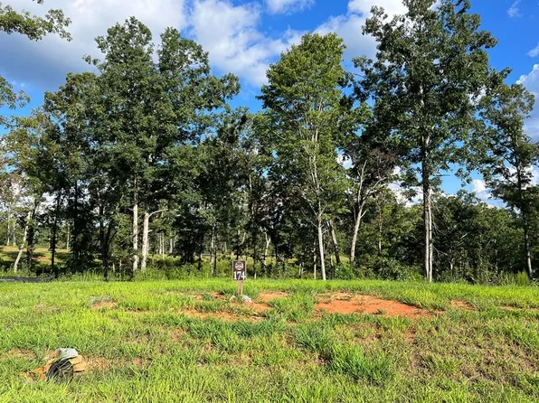 174 Lecroy Dr, Ellijay, GA 30540
