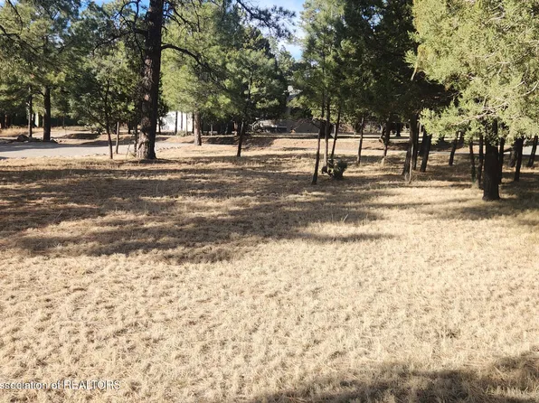 122 Mira Monte Rd, Alto, NM 88312