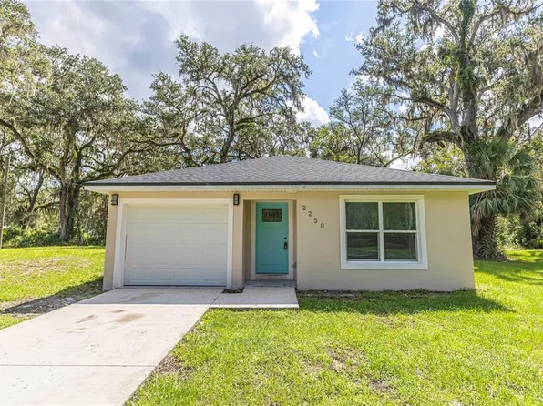 2250 County Road 423, Lake Panasoffkee, FL 33538