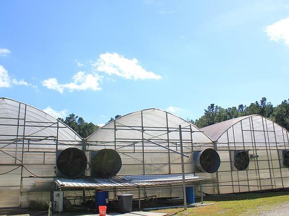 3 of the 6 greenhouse bays.