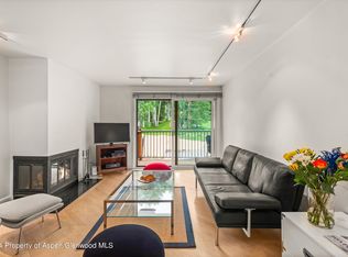 205 E Durant Ave APT 2D, Aspen, CO 81611