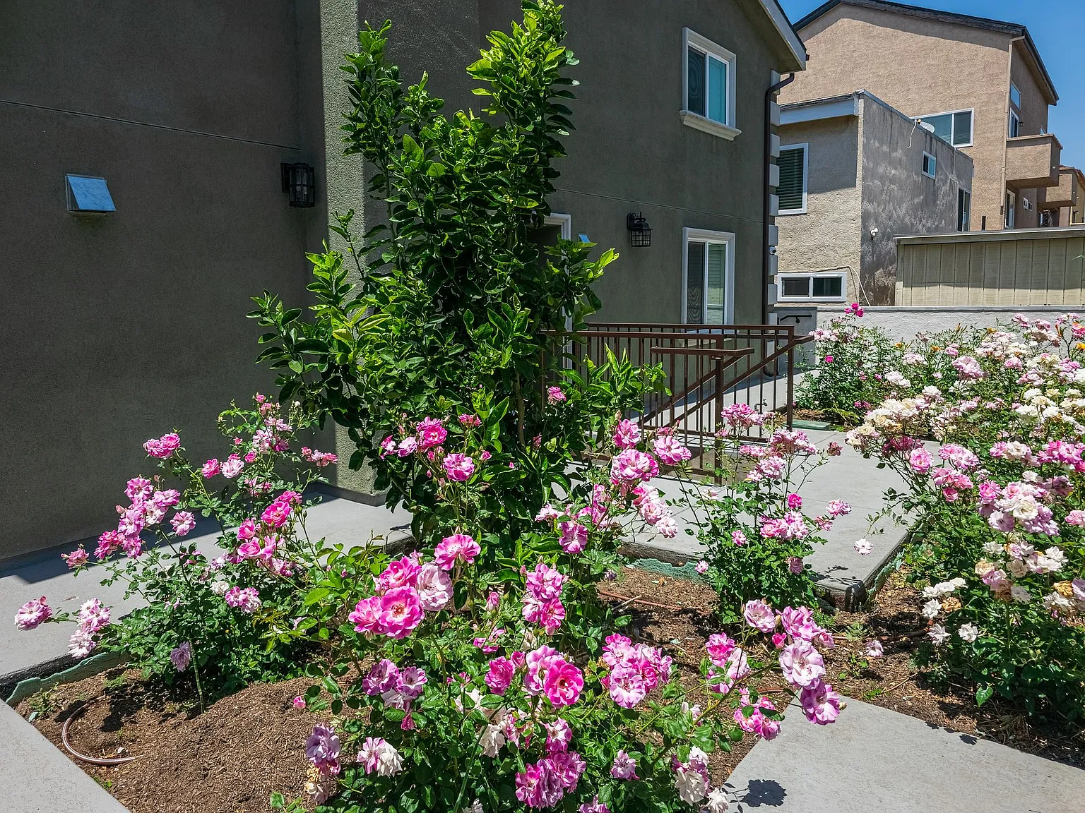 5258 Denny Ave — Photo 3