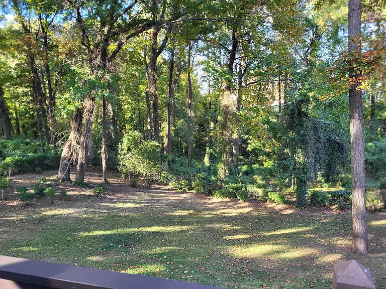View of back yard from deck