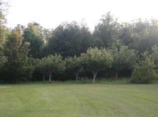 S Fork Ranch Rd, Clermont, FL 34714