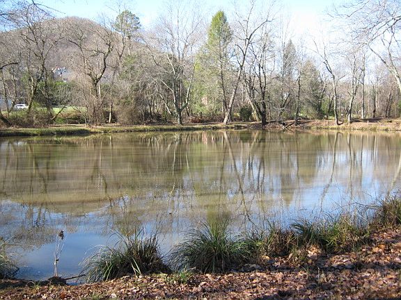 3rd image of 1863 Twin Ponds Dr