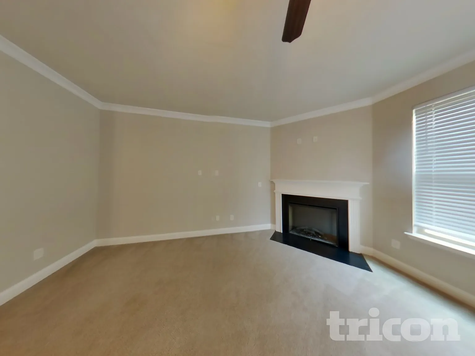 1430 Stone Ridge Court Hampton GA — Photo 3
