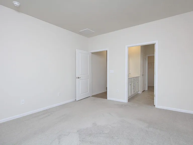 161 White Apple Way — Photo 12